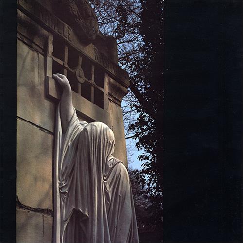 Dead Can Dance Within The Realm Of A Dying Sun (LP)